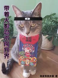 Bringing Naruto Ninjutsu to Another World